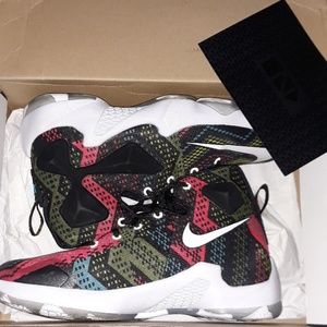 Nike Lebron 13